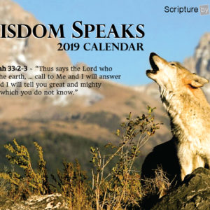 2019 Wisdom Speaks Calendar Cover