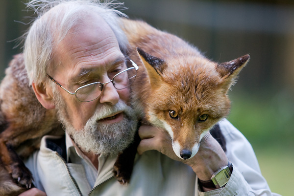 Mike Towler with rescued red fox