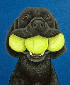 Dog with mouth full of tennis balls