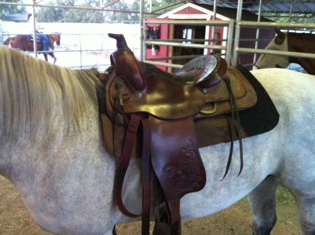 Saddle on Horse