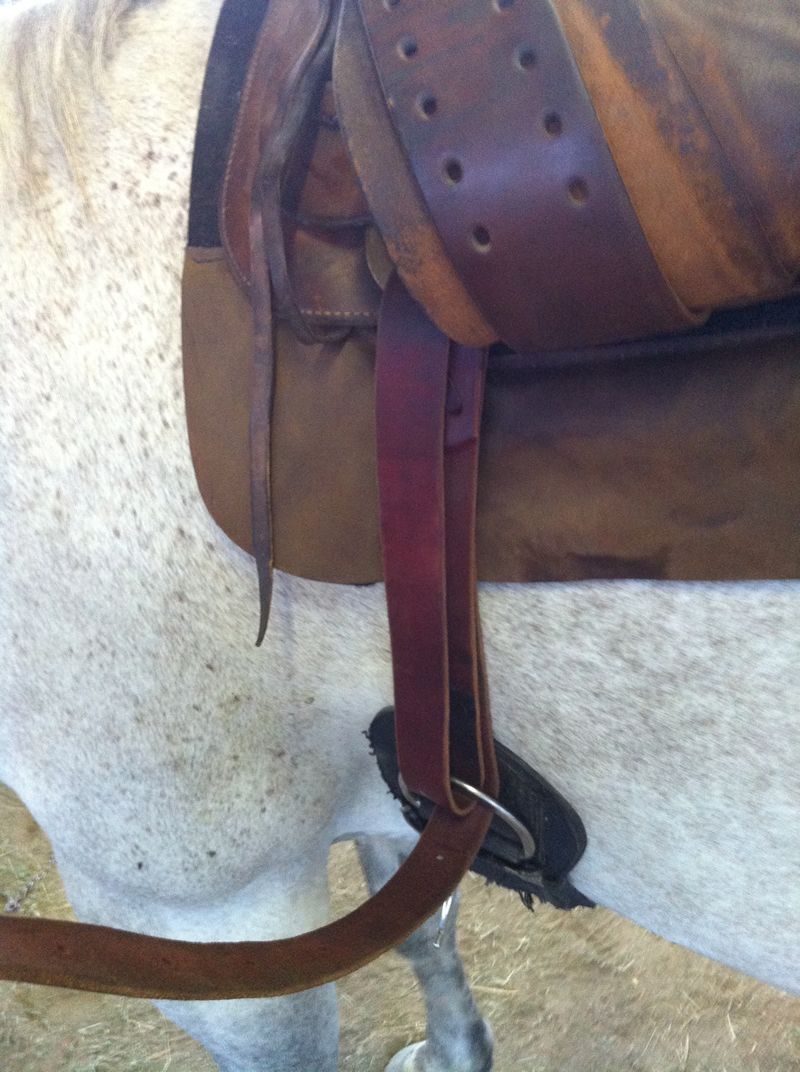 strapping a saddle to horse