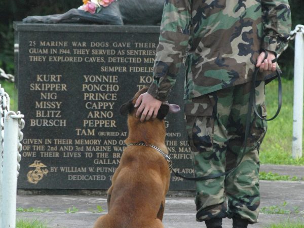 Soldier and Dog