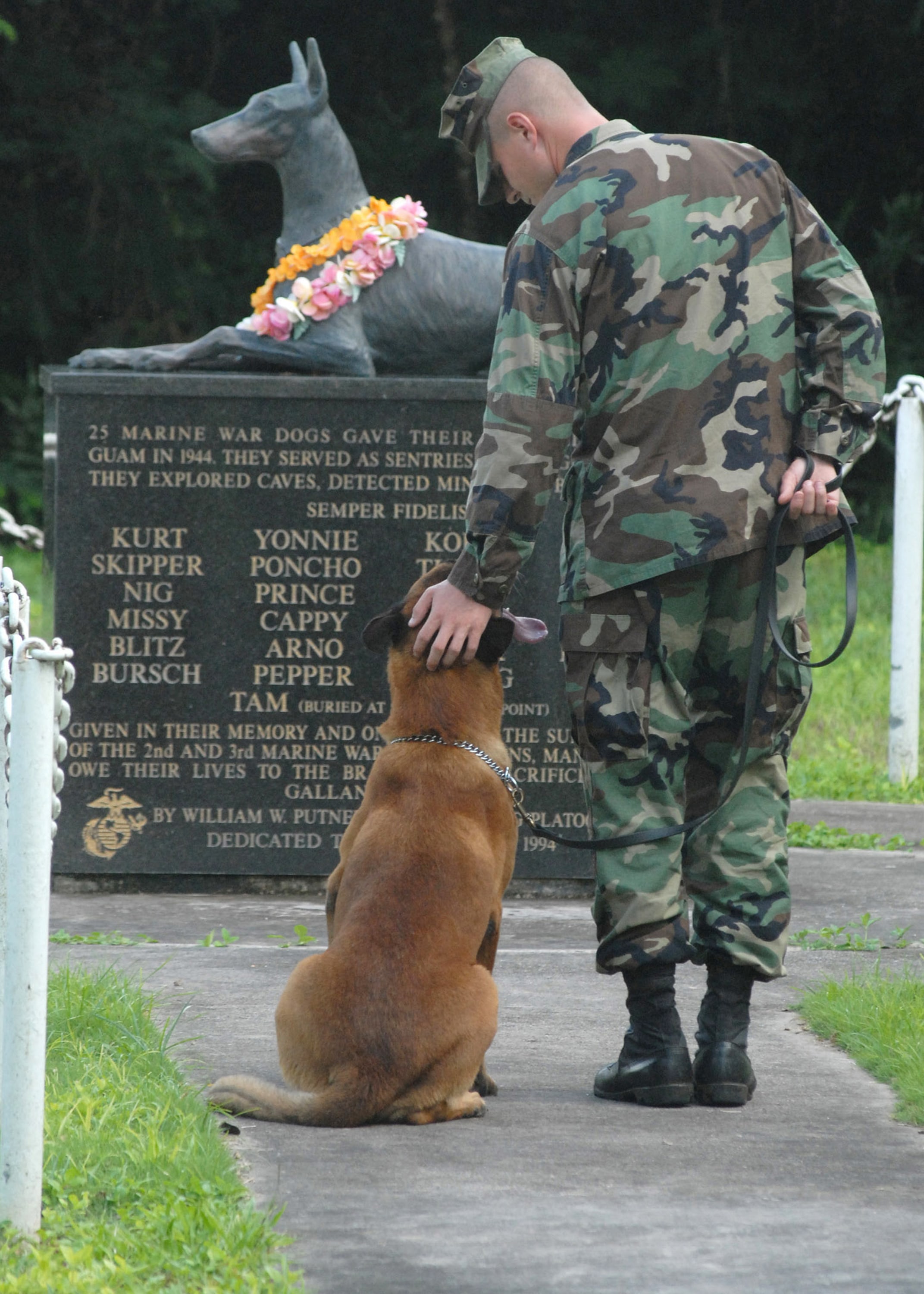 Soldier and Dog