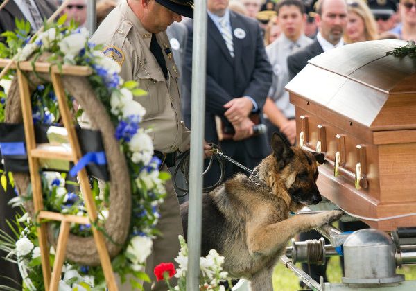 Police dog mourns