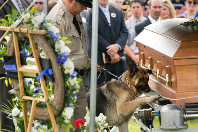 Police dog mourns