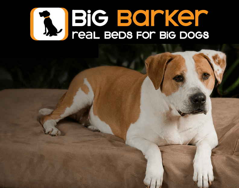 Big Barker Dog Beds