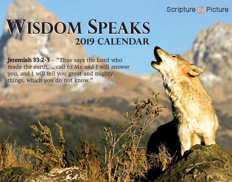 2019 Wisdom Speaks Calendar
