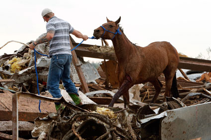 Horse Tornado Debris