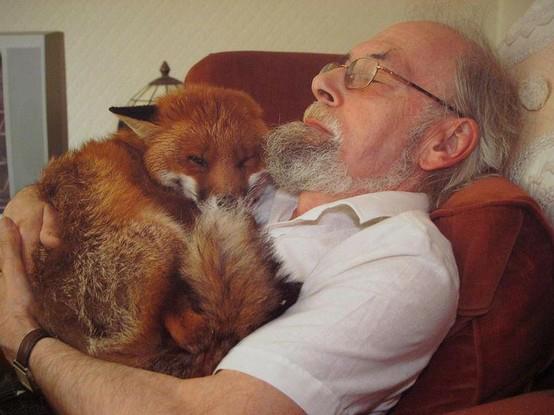 Cropper the Fox