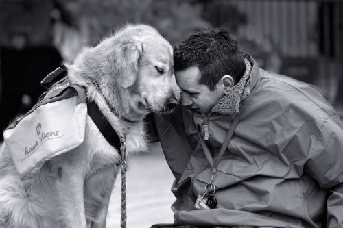 Dog and Man Love