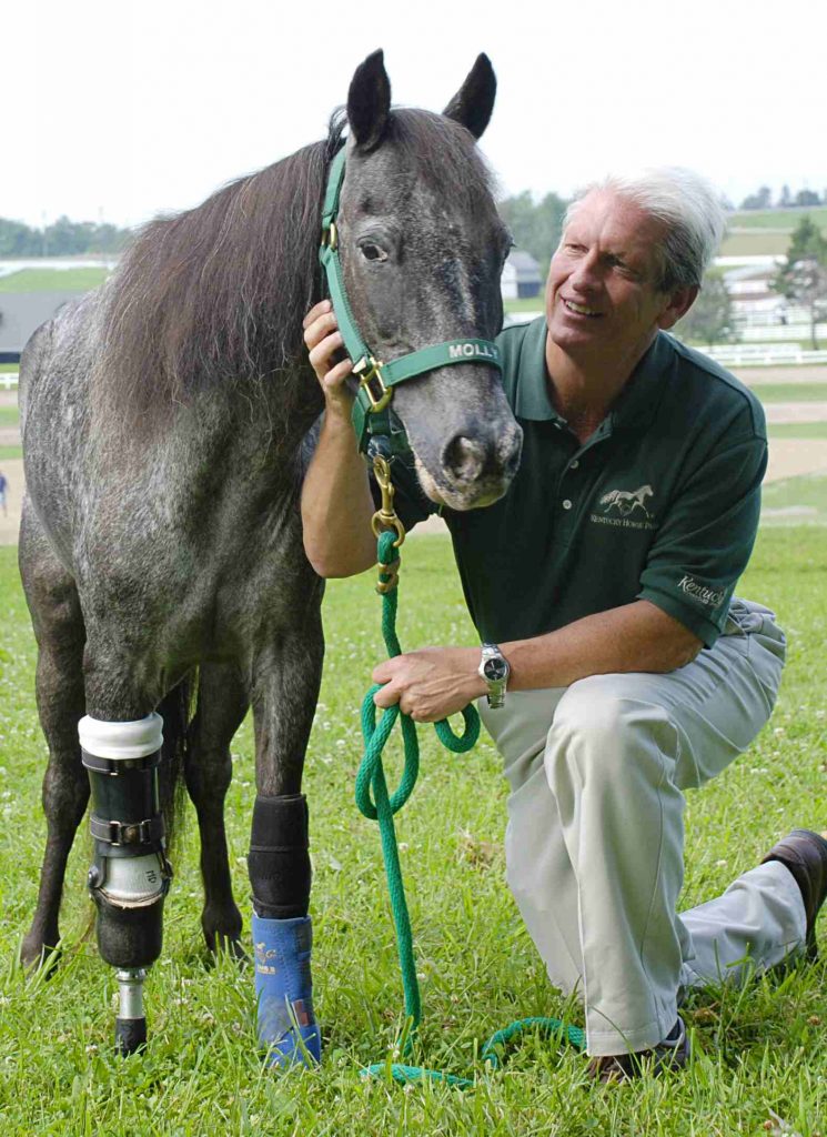 Molly pony with prosthesis 07 image